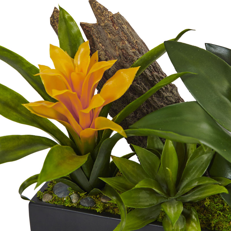 Arrangement floral mixte en pot, Mauve