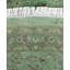 Overdyed Hand-Knotted Wool Modern-Contemporary Green Area Rug 8' 1" x 8' 1"