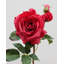 Real Touch Prestige rose rose 22 po-1152958053