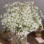 Arrangement floral Maldonado-88572285