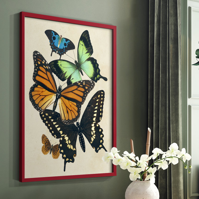 «Collage Butterflies I», reproduction encadrée - bois massif, Rouge, H 10 po x l 8 po