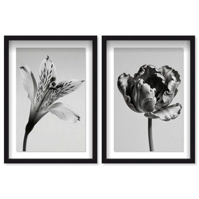 Peeking Flowers Set Framed Graphic Art