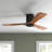 Aliya-Grace 52'' 3 - Blade Smart Propeller Ceiling Fan with Remote