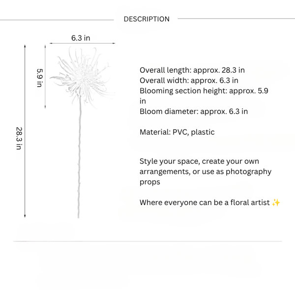Dimensions du produit