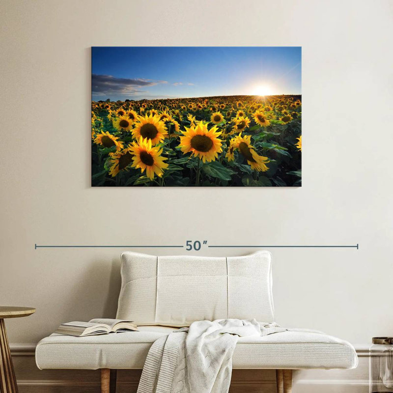 Alvord Sunflower Field Sunrise, 26" H x 39" W