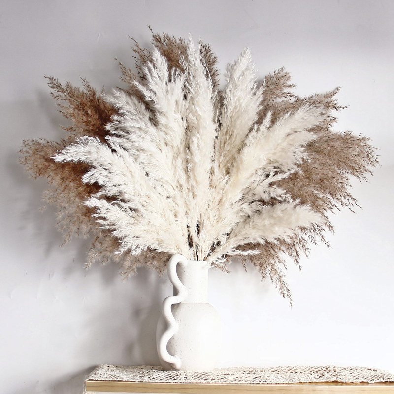 17'' Pampas Grass Plant