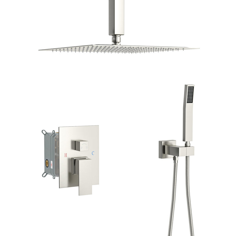 Pomme de douche double au plafond 16 po, finition nickel brossé carré, option d'installation, Nickel brossé