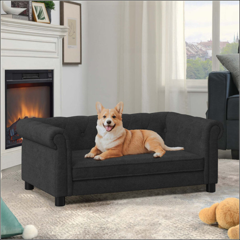Élégant lit pour animaux de compagnie rectangulaire pour petits et moyens chiens, canapé-lit surélevé durable, canapé pour chien confortable, canapé pour chien en lin moderne et tendance