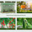 Serre verte avec design fonctionnel pour l'espace extérieur, 117,6 x 39,6 x 79,2 po, acier galvanisé