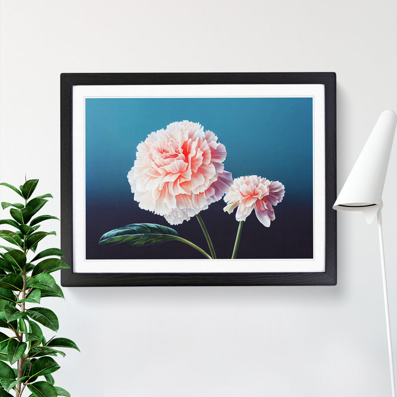 Wild Carnation Flowers - Framed Print, 34cm H x 46cm W x 2cm D, Black Framed