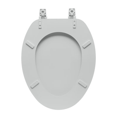 Fantasia Elongated Toilet Seat and Lid