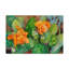 Deetra «Blossoming Cactus», reproduction de peinture acrylique sur toile tendue-27484712