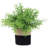 8'' Faux Plant in Pot