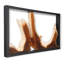 Framed Root Wall Décor