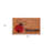 24" X 36" Natural Black and Red Coir Ladybug Welcome Outdoor Door Mat