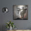 «Calling Elk» par Lightbox Journal sur métal-588566992