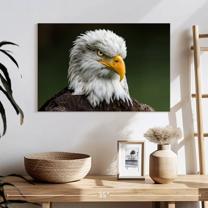 Brampt Bald Eagle Stare, 30" H x 45" W