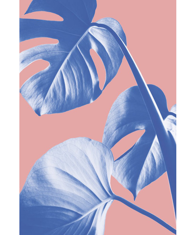 Monstera 05, 76.2 cm H x 50.8 cm W