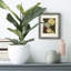 Petit motif I - impression encadrée-600227528-600227526