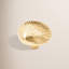 CK Series Knob-12829605