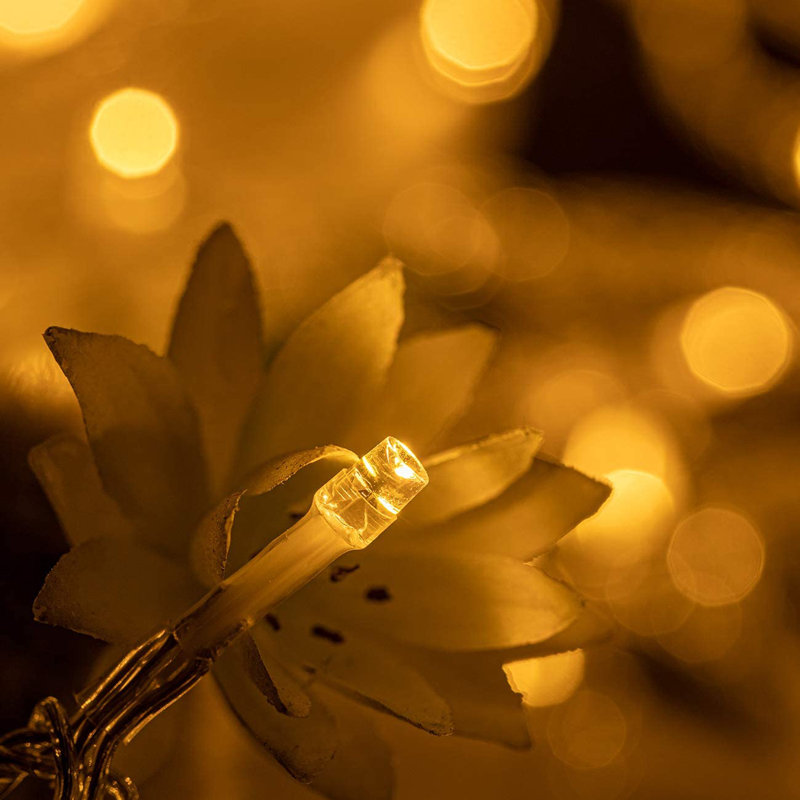 792'' String Lights, Warm White