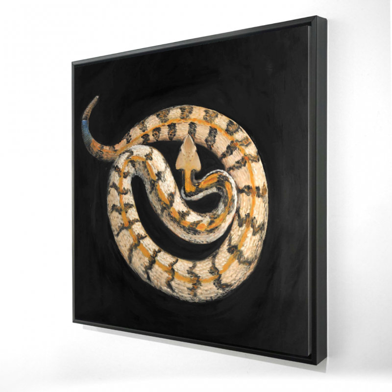 Toile de crotale Southern Timber | Décoration exotique de reptile