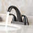 Centerset 2-handle Bathroom Faucet with Drain Assembly-50308877