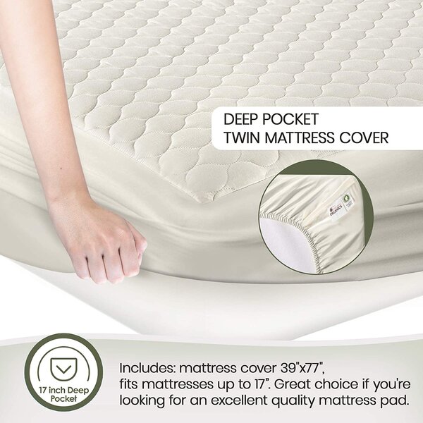 Whisper Organics Fitted Mattress Protector Case Pack & Reviews | Wayfair