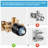 Modern Wall Mount Single Handle Shower Faucet-114805224