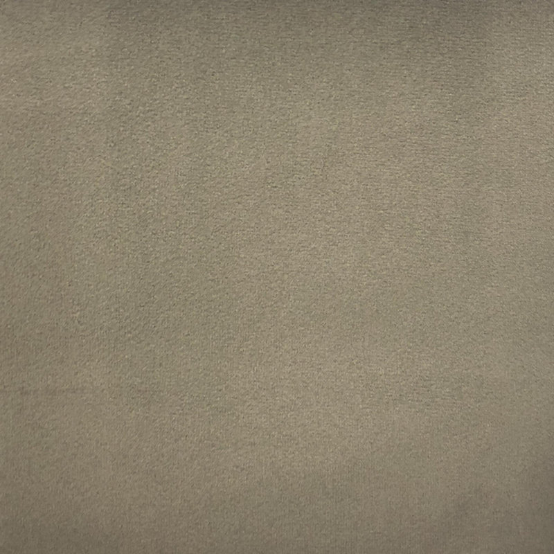 Solid Velvet | Velluto Fabric, Stone