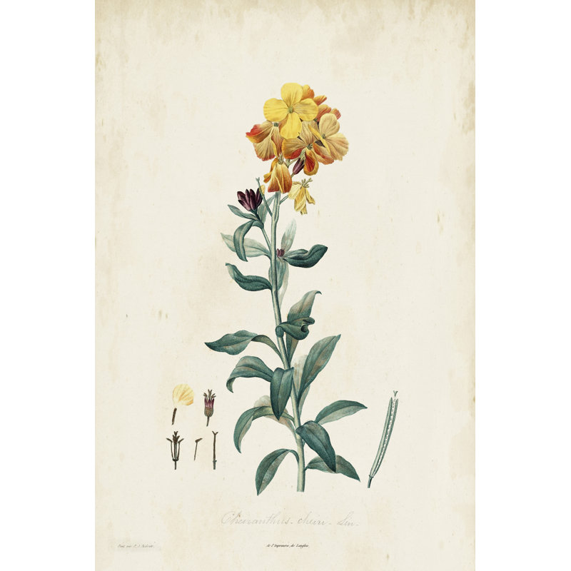 Traditionnel botanique III, H 12 po x l 8 po x P 1,25 po