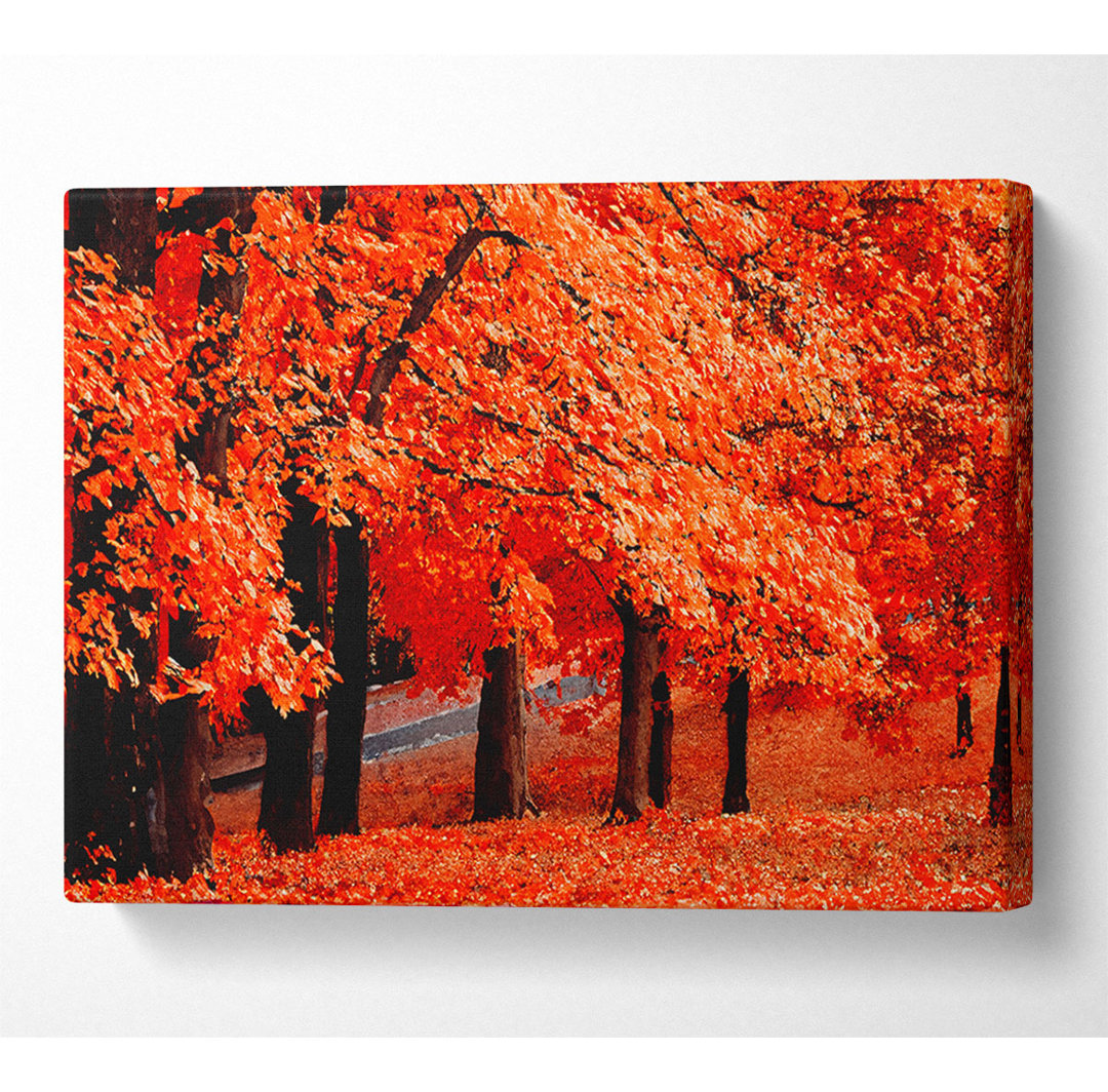 Beautiful Autumn Orange Leaves - Kunstdrucke auf Leinwand - Wrapped Canvas