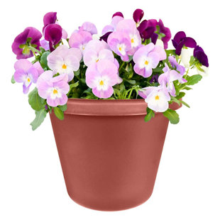 Pot de fleurs en plastique avec réservoir