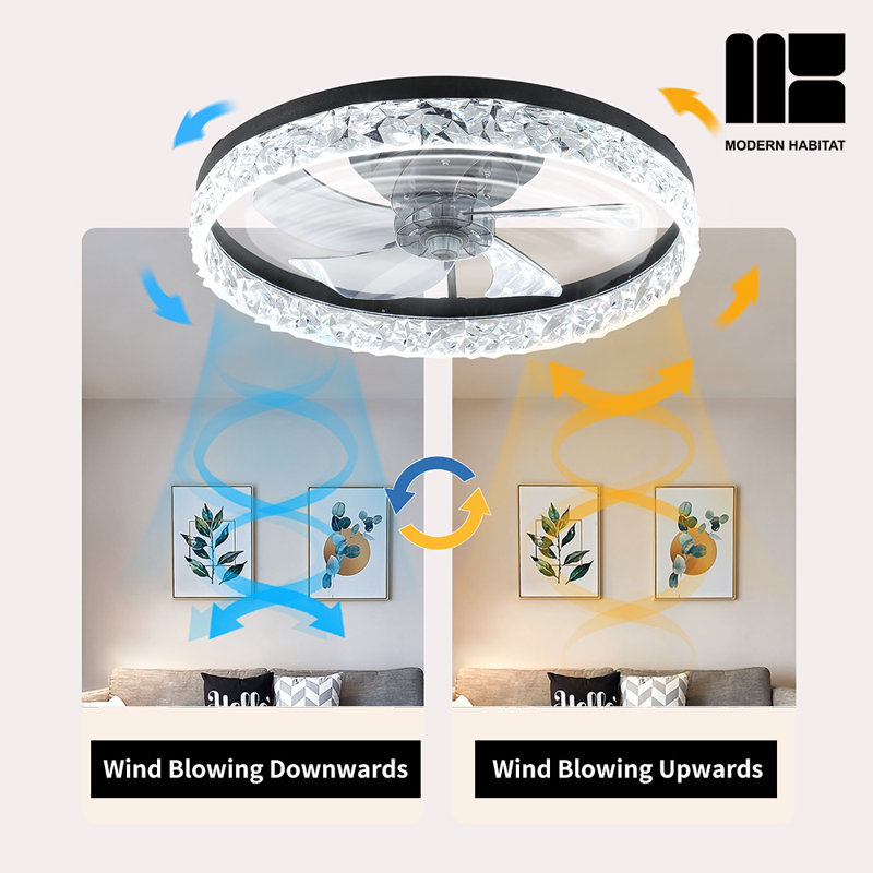 Dusen 19.7 in. Ceiling Fan with LED Lights