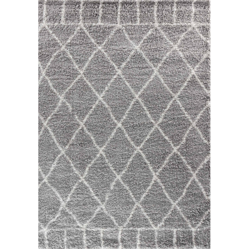 Toland Geometric Shag Area Rug, Rectangle 80 x 150cm