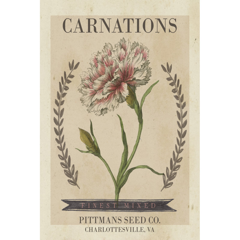 «Vintage Seed Packets V» par Studio W - impression sur toile tendue, H 12 po x l 8 po