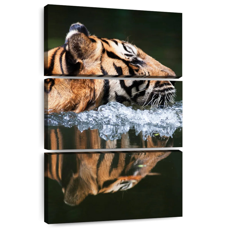 Brampt Swimming Malayan Tiger, 32" H x 20" W