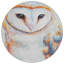 Machine Washable Indoor/Outdoor Jenning ACN2280 Animal Rug-1237028149