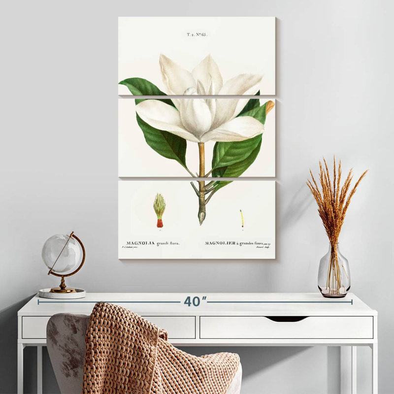 Harnek Magnolia du Sud, H 32 po x l 20 po