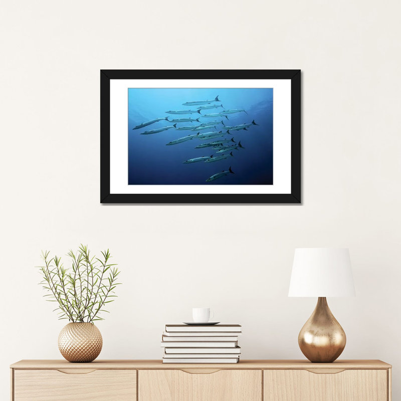 « barracudas », impression sur toile, H 16 po x l 24 po x P 1 po, Papier avec cadre noir, Blanc