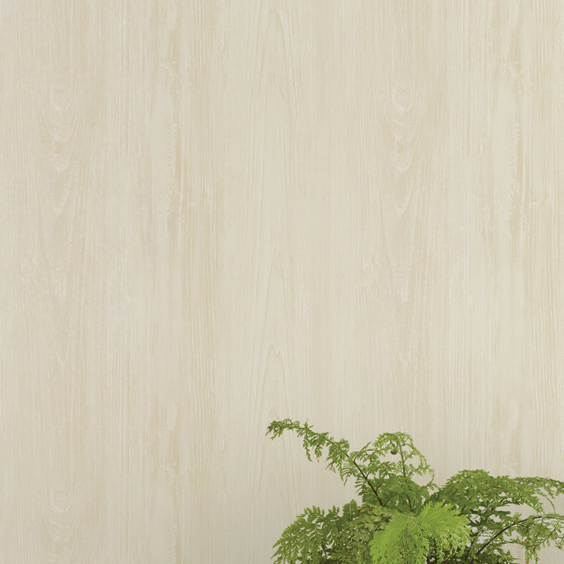 Rouleau de papier peint en bois L 33 pi x l 20,5 po Loraine, Crème