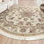 Oriental Area Rug