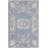 Erica Floral Indoor Rug-1708739892