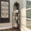 Acushnet Corner Bookcase