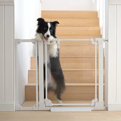 Baby Safety Gate For Doorway 29-37.8 In Clear Acrylic Pressure Mount Pet Gate White