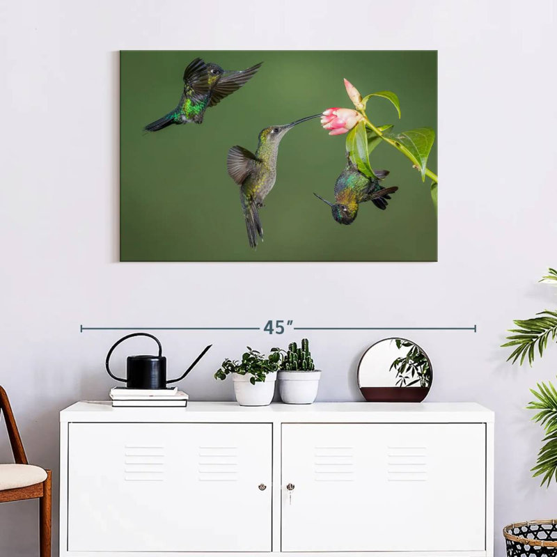 Brampt Three Hummingbirds, 24" H x 36" W