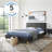 Lakeside Upholstered Low Profile Platform Bed-48320676-48320679