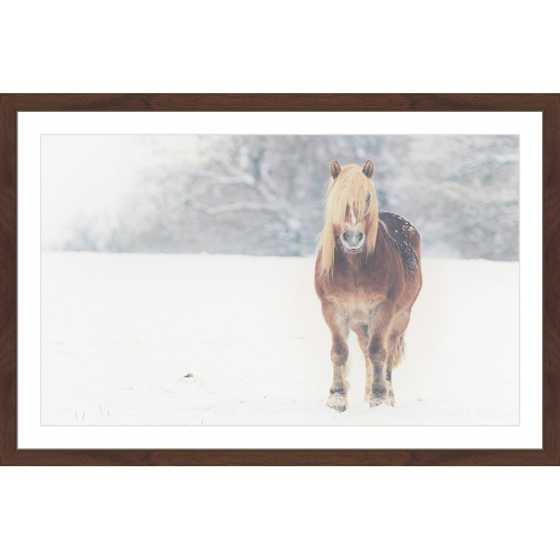 Parvez Taj - Single Picture Frame Print, 61cm H x 91cm W x 3.81cm D