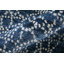 Tapis floral et botanique transitionnel Olivier-1490851288-1490851301