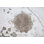 Papier peint Brick